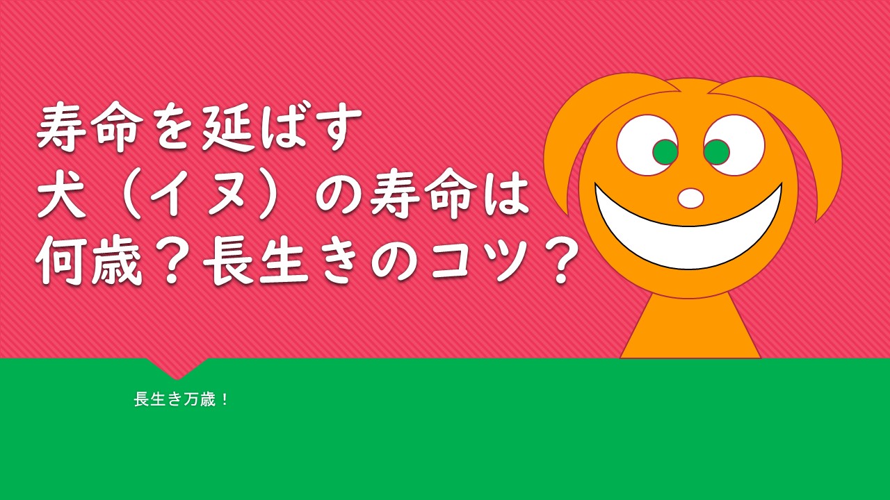 長生きさせる方法 愛犬の寿命を延ばす仔犬のうちにやっておくこと