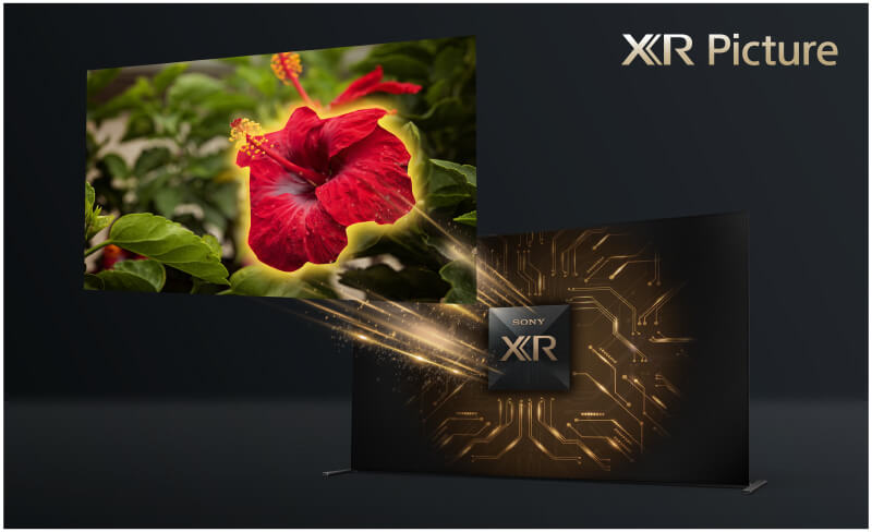 Sony BRAVIA XR Picture 技術のイメージ