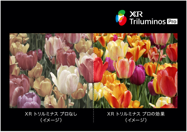 ソニーブラビアの高画質 XR Color XR Triluminos Pro