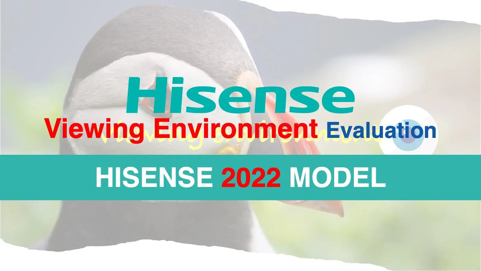【2022 HISENSE】ハイセンステレビの視聴性能と設置性を比較評価｜U9H・U7H・A6H記事のアイキャッチ