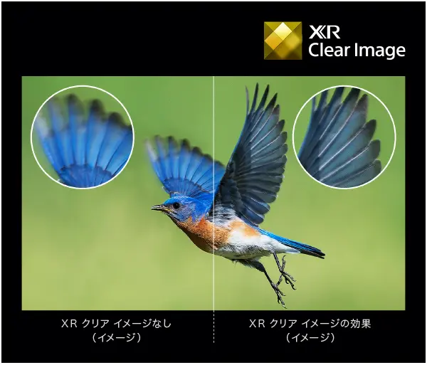 ソニーブラビアのXR Clear Image