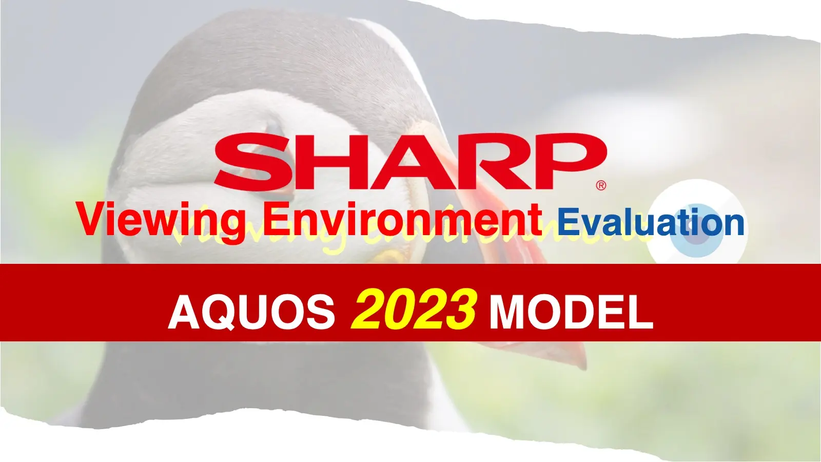 【2023 AQUOS】 SHARP AQUOSテレビの視聴性能と設置性を比較評価｜FN1・FN2・FL1記事のアイキャッチ