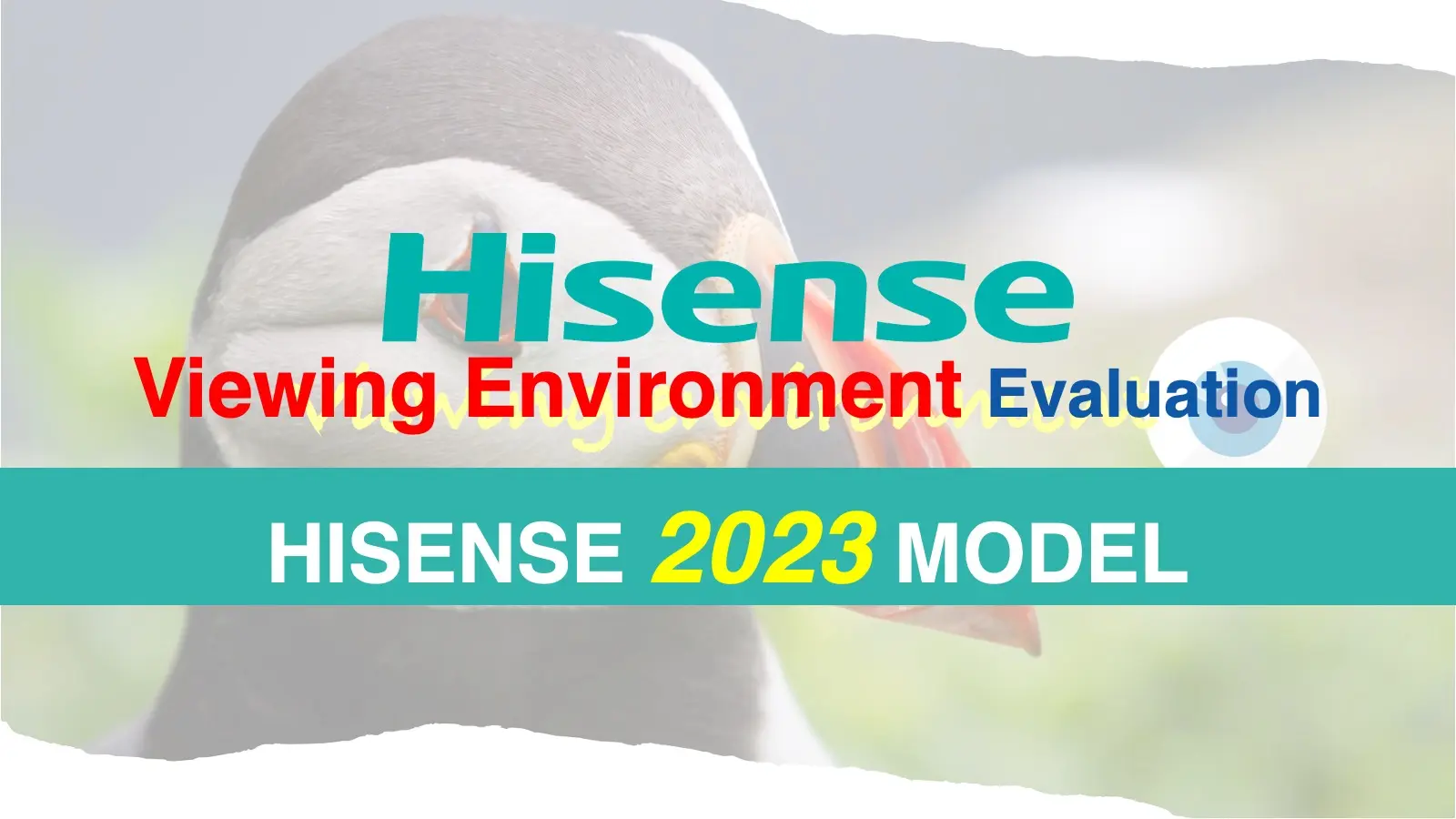 【2023 HISENSE】 ハイセンス・テレビの視聴性能と設置性を比較評価｜UX・U8K記事のアイキャッチ