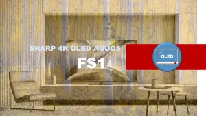 シャープ4K有機ELアクオス FS1ラインレビュー記事用のオリジナルアイキャッチ画像