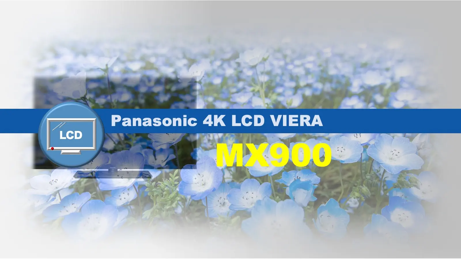 パナソニック4K液晶ビエラ MX900レビュー記事用のオリジナルアイキャッチ画像